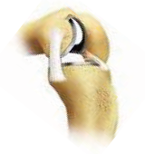 lHG֐ߒPupƂ́H